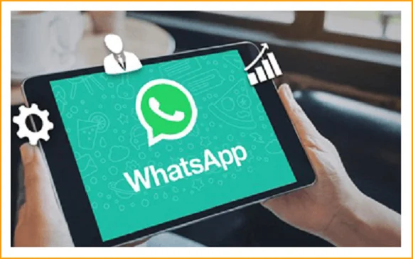 WhatsApp Marketing Analysis