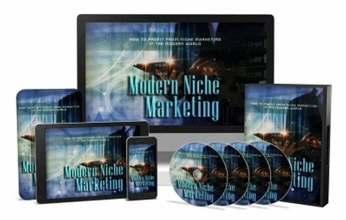 Modern Niche Marketing Analysis